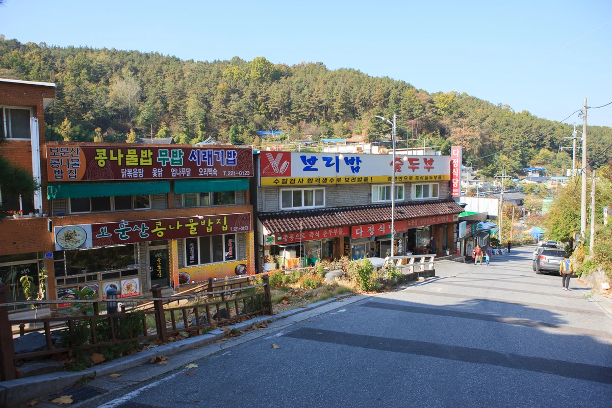 보문산큰나무전망대 - 보문산 여행