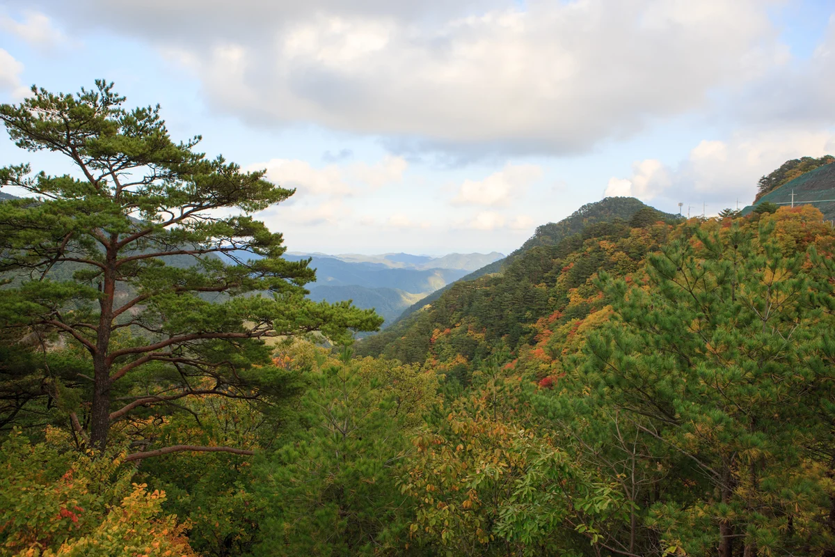 덕구온천스파월드 - 울진여행 여행