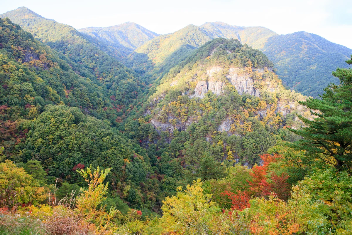 울진 왕피천 케이블카 - 울진여행 여행