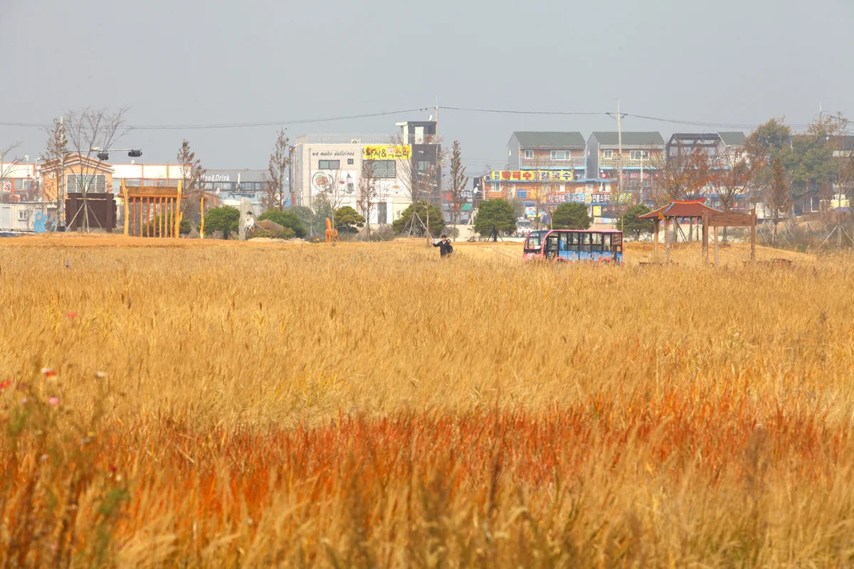 동춘서커스 - 대부도 여행