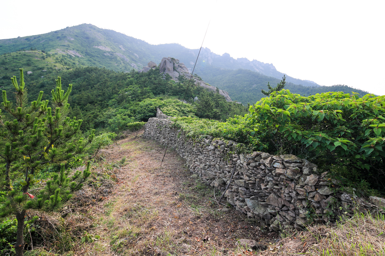 신안군 근교여행: 선도리 수선화 마을 - 신안군 여행