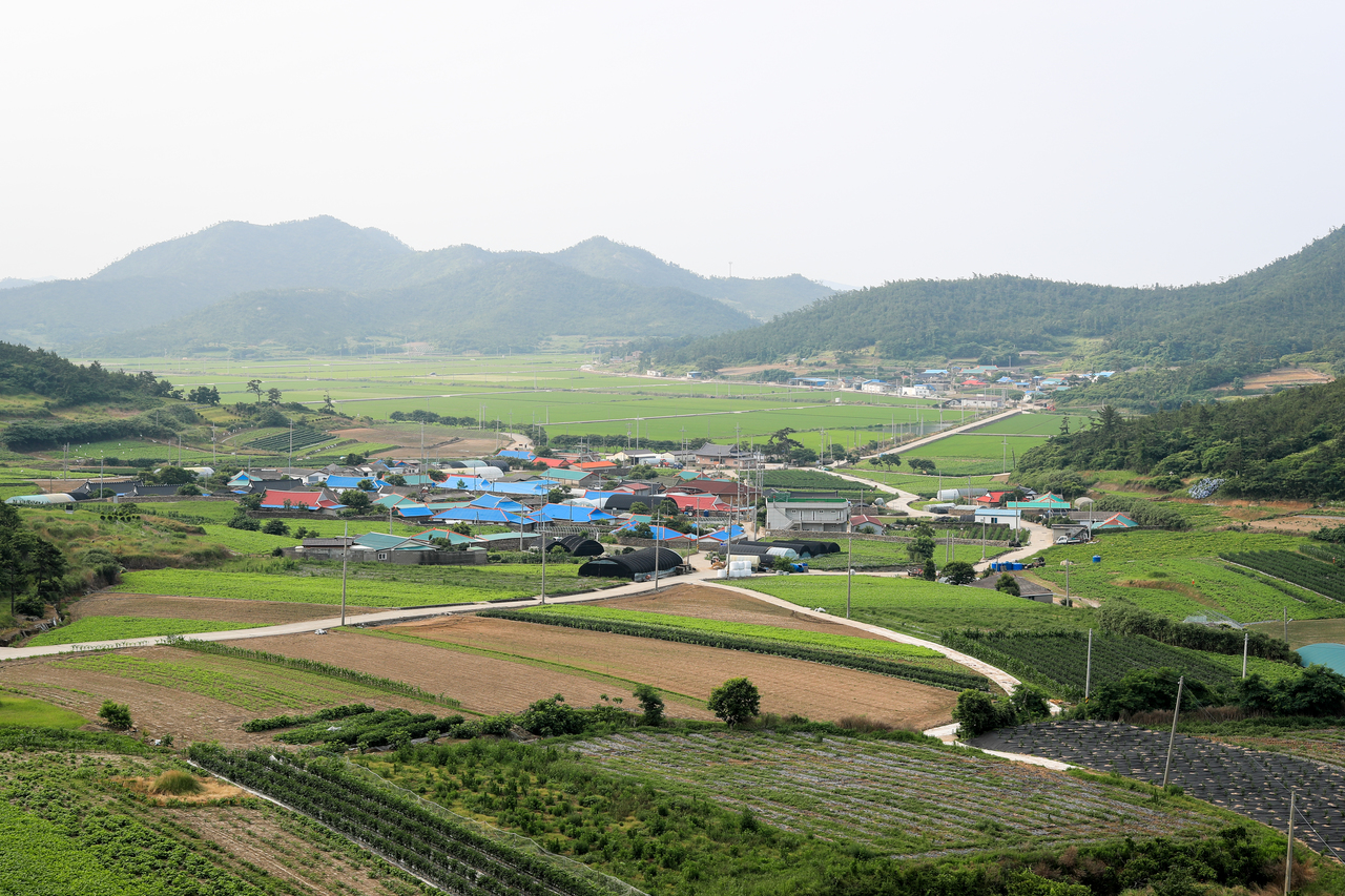 신안튤립공원 - 신안군 여행