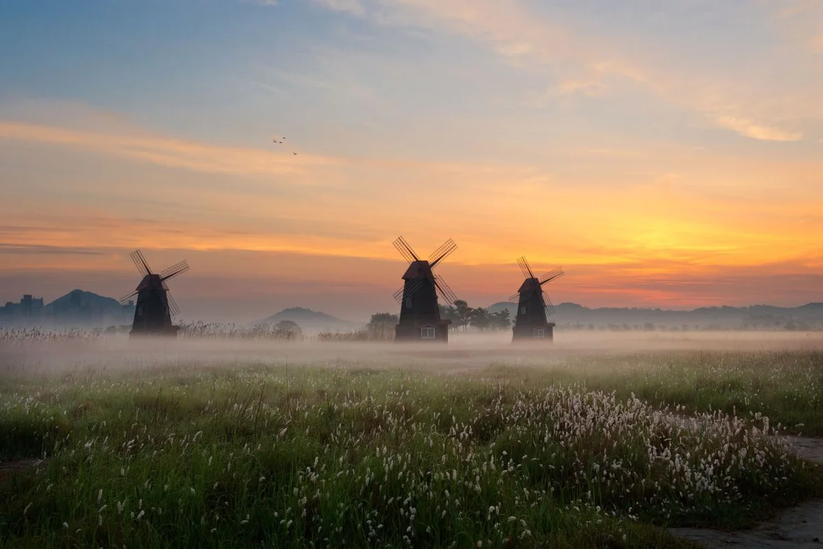 소래습지생태공원 - 남동구 커플 여행 여행