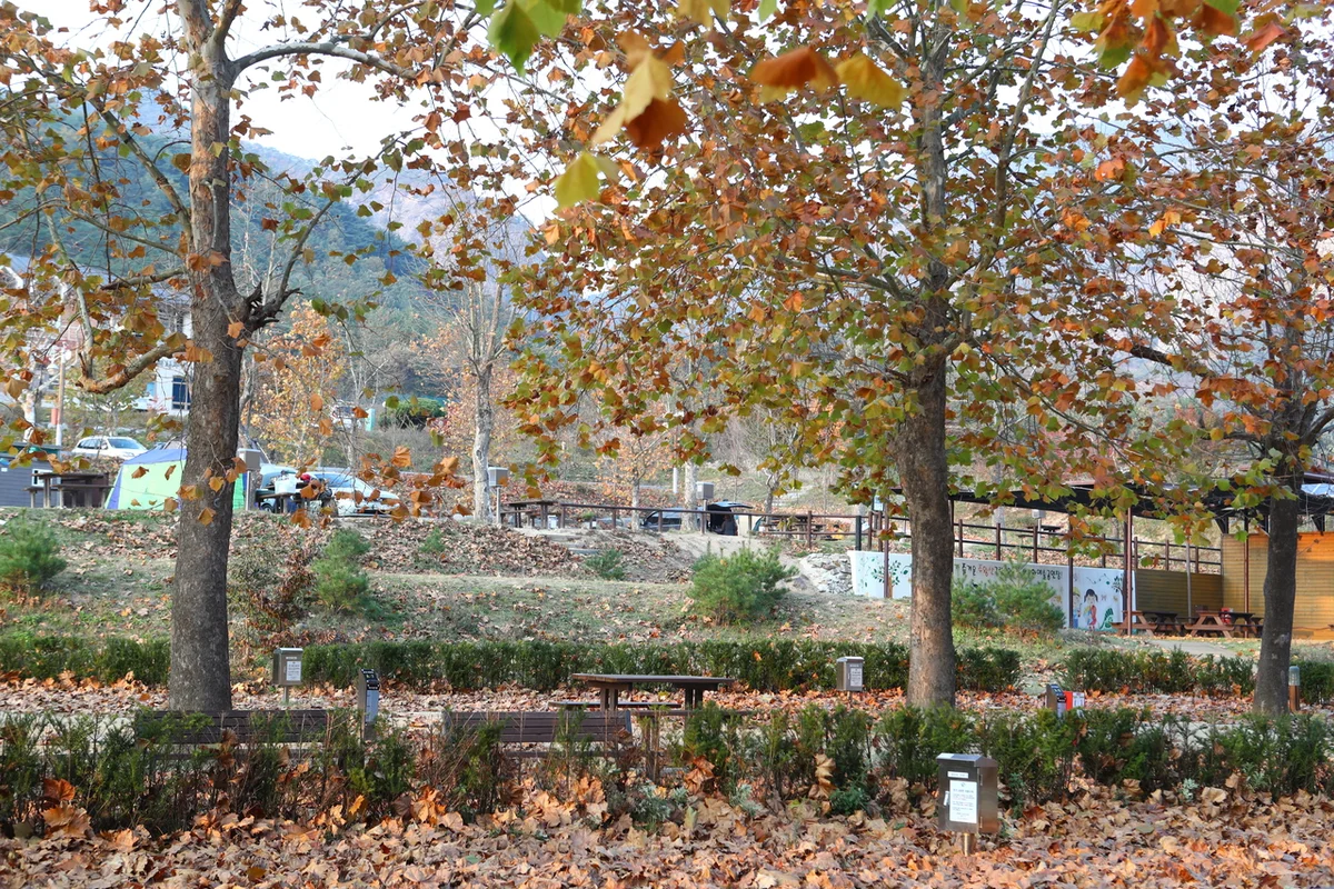 절골계곡 - 주왕산 여행