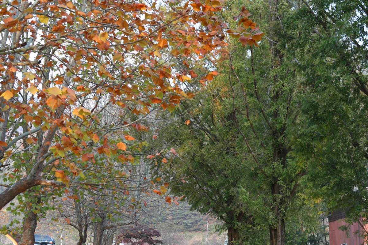 주왕산얼음골 - 주왕산 여행