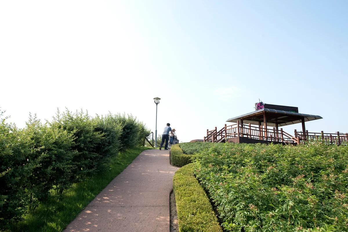 대황강자연휴식체험장 - 곡성군 여행