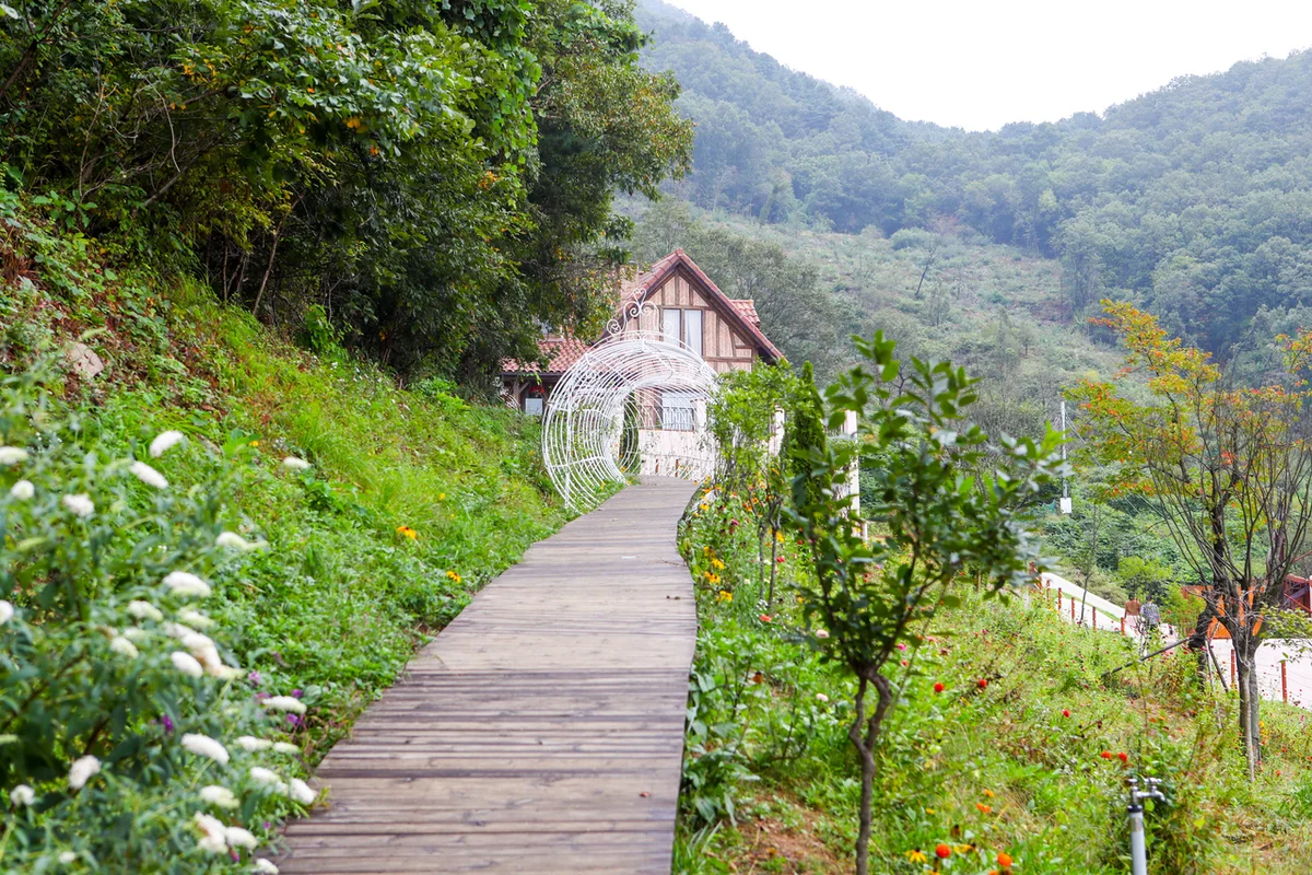 운악산출렁다리 - 가평 여행 여행