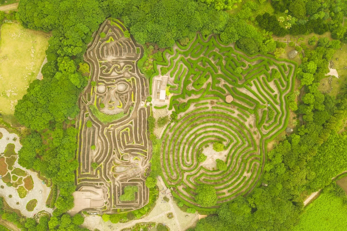 메이즈랜드 - 비자림 여행