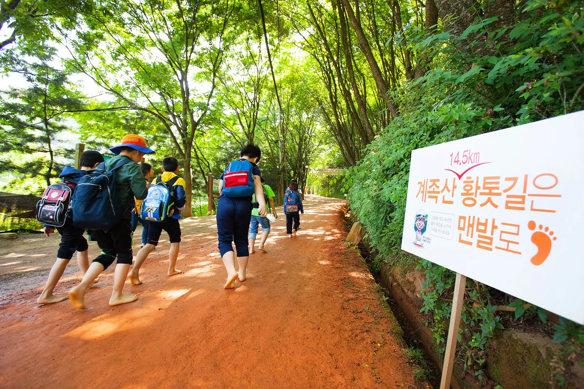 장동문화공원 - 계족산 여행