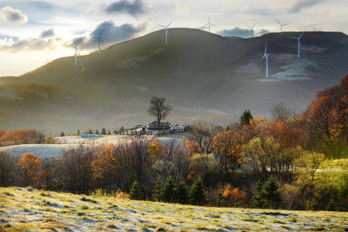 라플란드 - 평창캠핑 여행