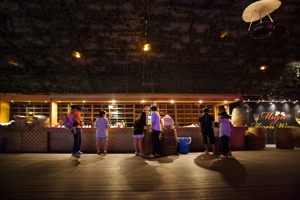 머루와인동굴 - 무주여행 여행