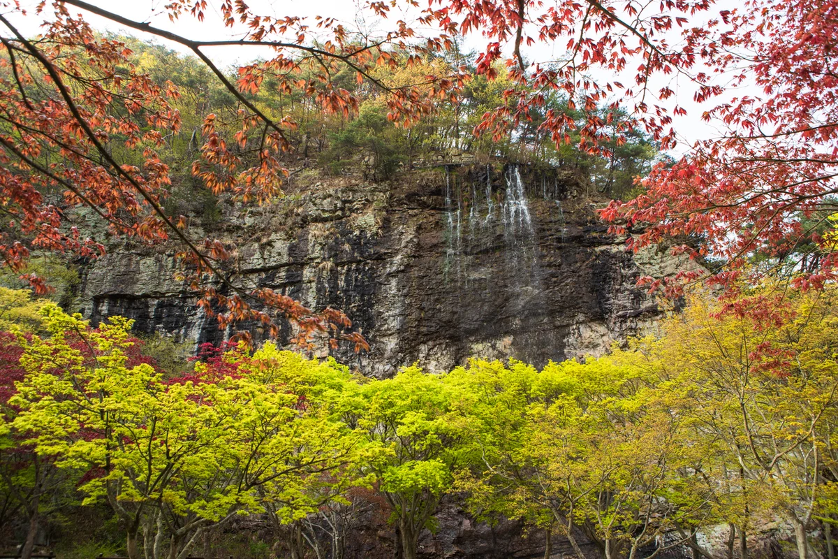 순창발효테마파크 - 순창벚꽃 여행