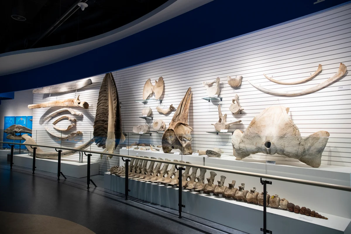 장생포 고래박물관 - 장생포여행 여행