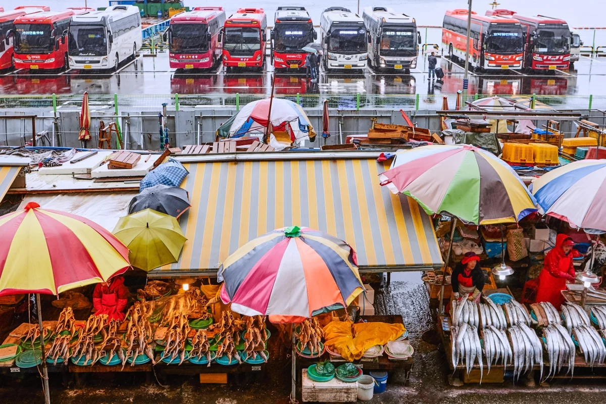 광명 짚라인 (출처 : 한국관광공사)