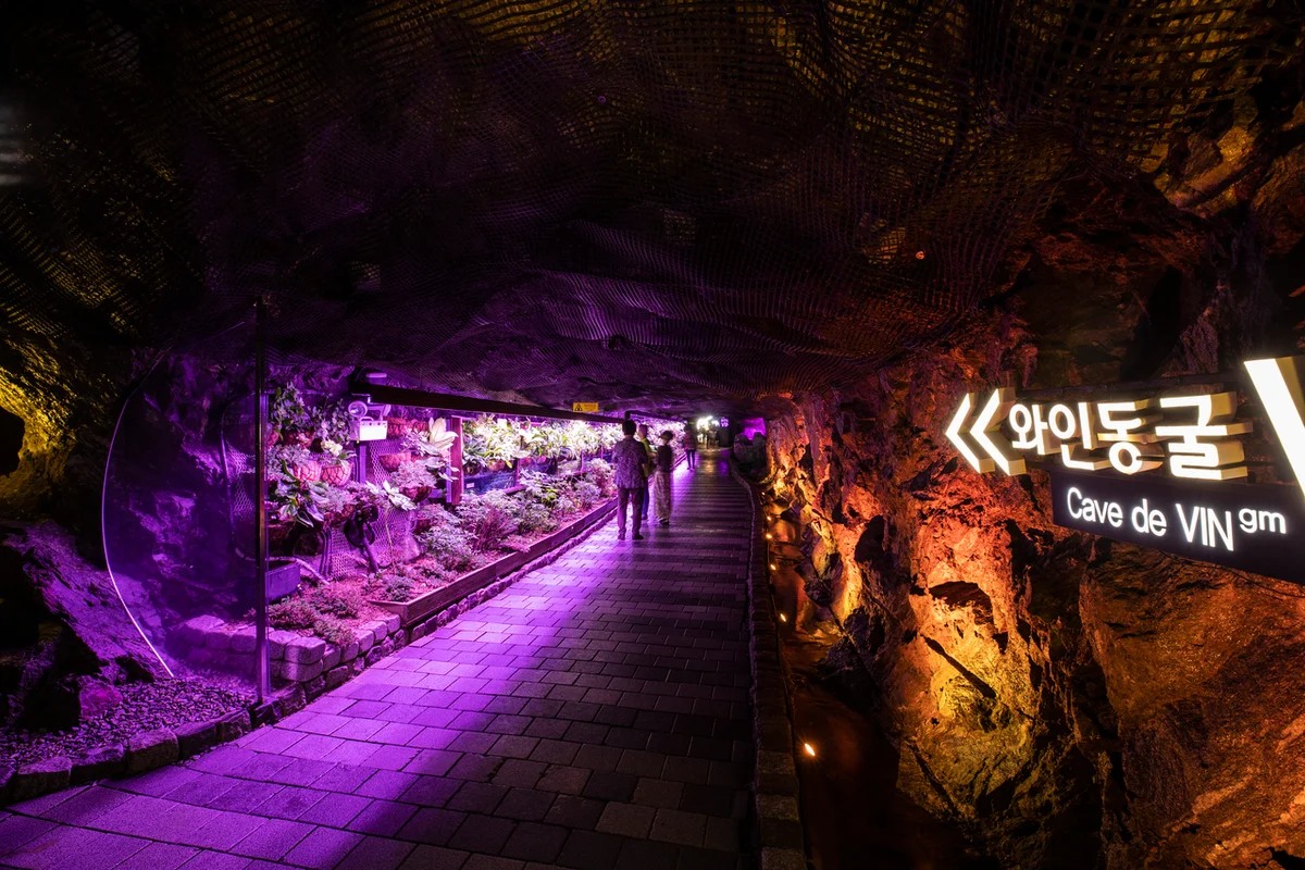 광명동굴 와인동굴 - 광명동굴 여행
