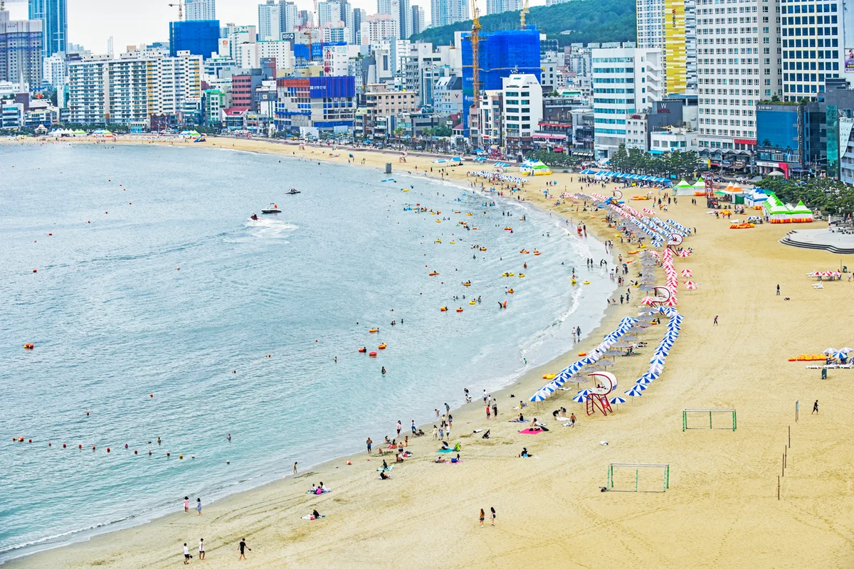 삼익비치 벚꽃길 - 광안리벚꽃 여행