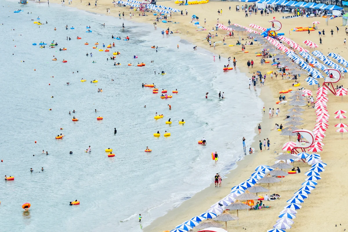 광안리해수욕장 - 광안리벚꽃 여행