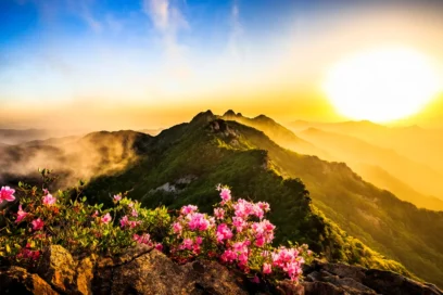 2026 충남 밤바다 명소, 봄밤을 밝히는 최고의 여행지 5곳