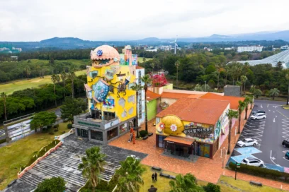 2026년 중문 혼행, 나만을 위한 제주 여행 코스 추천