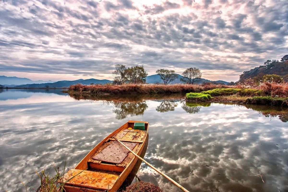 우포늪 - 창녕여행 여행