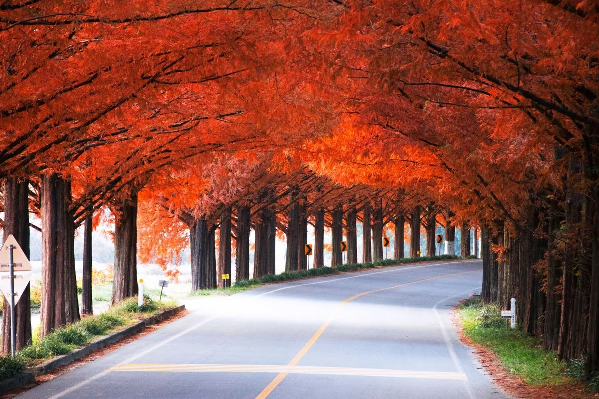 담양 관광지 도 (출처 : 한국관광공사)