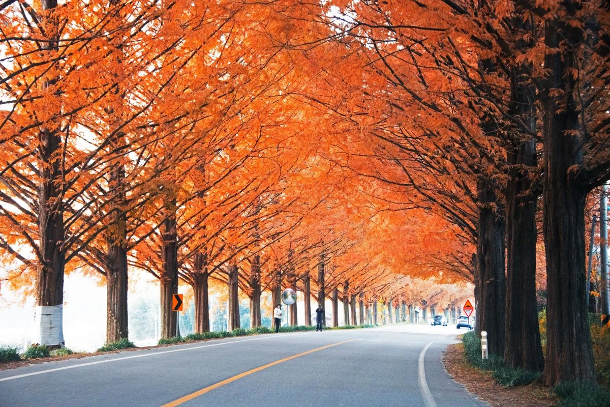 담양추억의골목 - 담양여행 여행