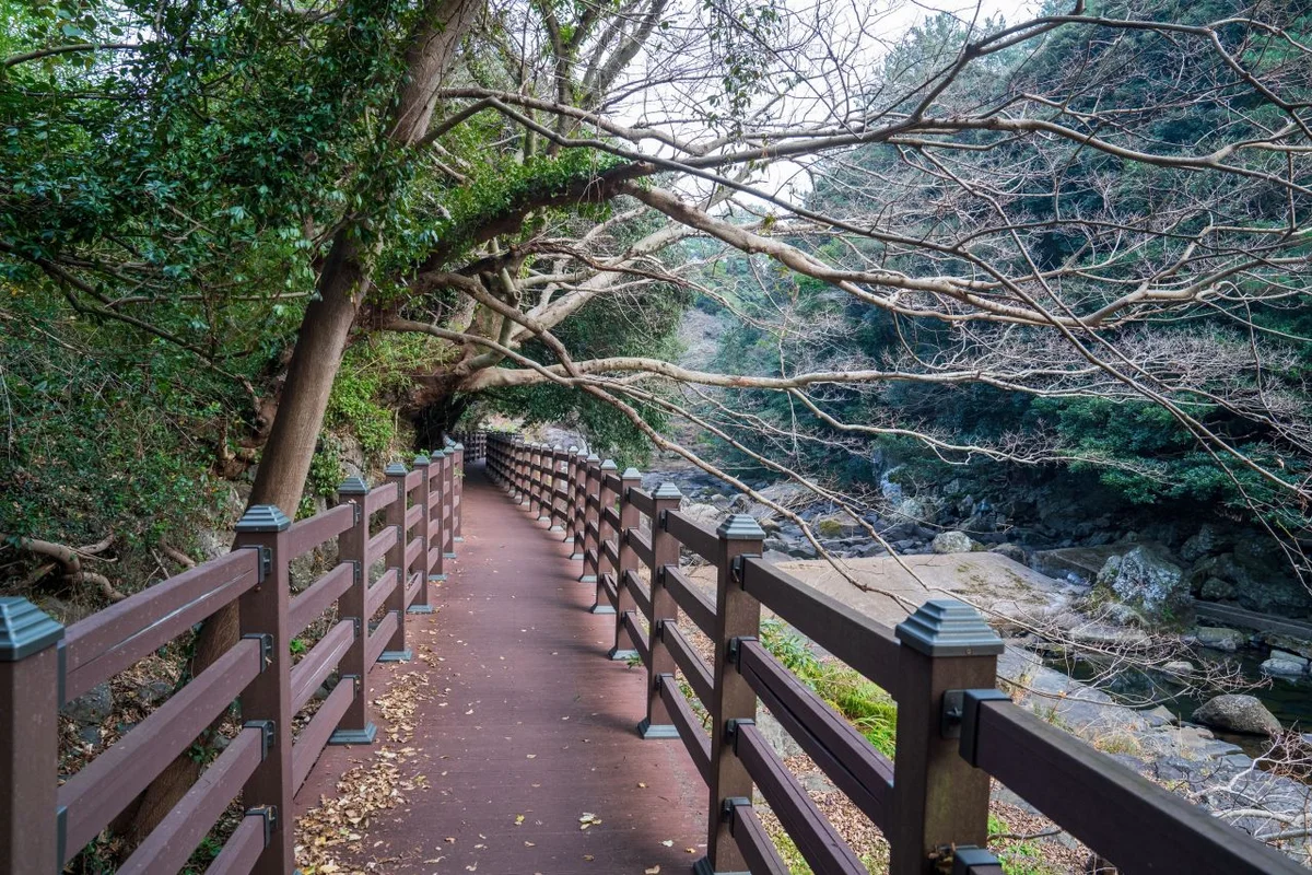 코티지 캠핑 - 안덕글램핑 여행