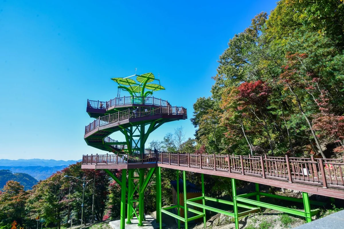 말티재 전망대 - 보은여행 여행