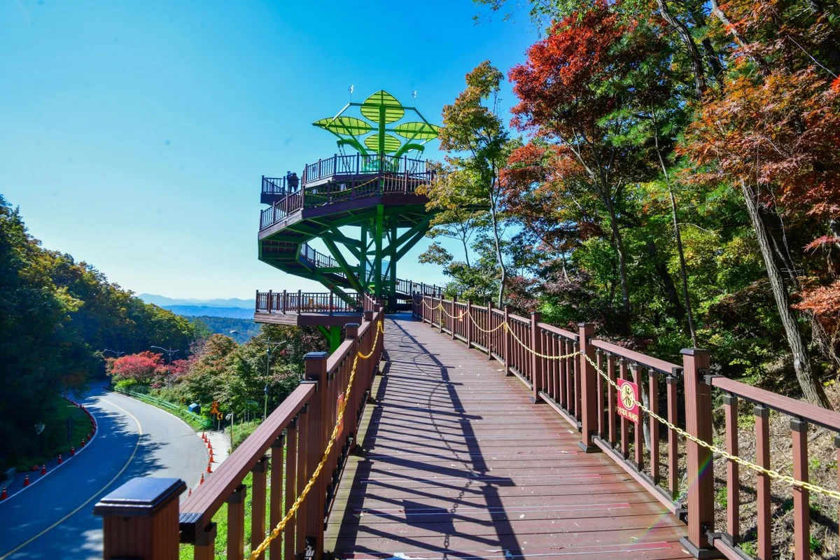 속리산 숲체험휴양마을 - 보은여행 여행