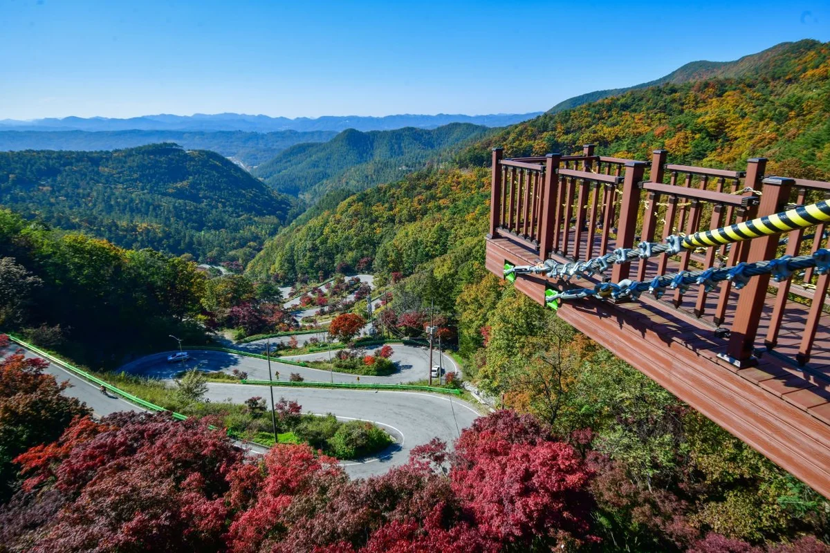 말티재 꼬부랑길 - 보은군 여행