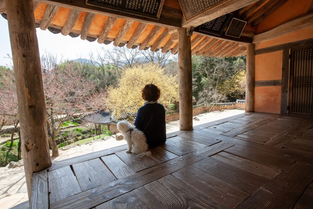 오동근린공원 - 수유 여행