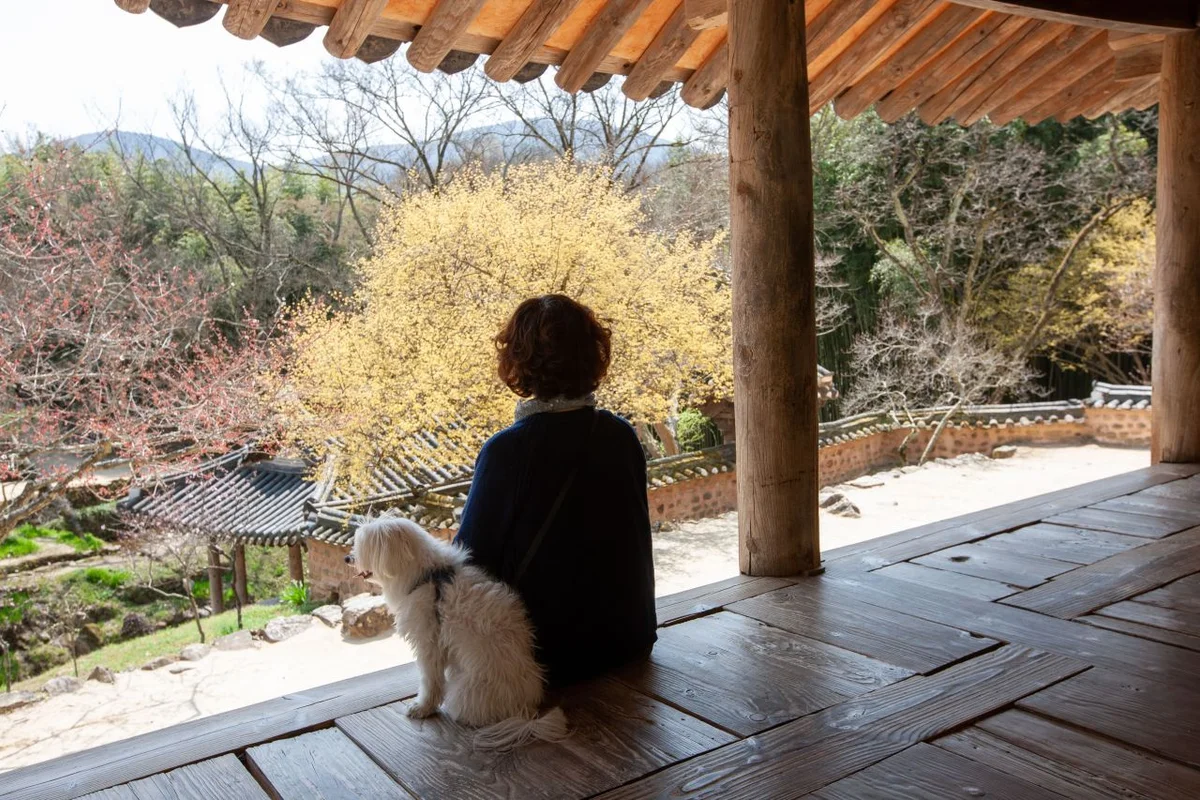 오패산 - 수유 여행