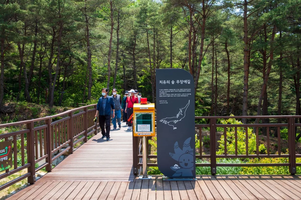 거창 항노화힐링랜드 - 거창군 여행