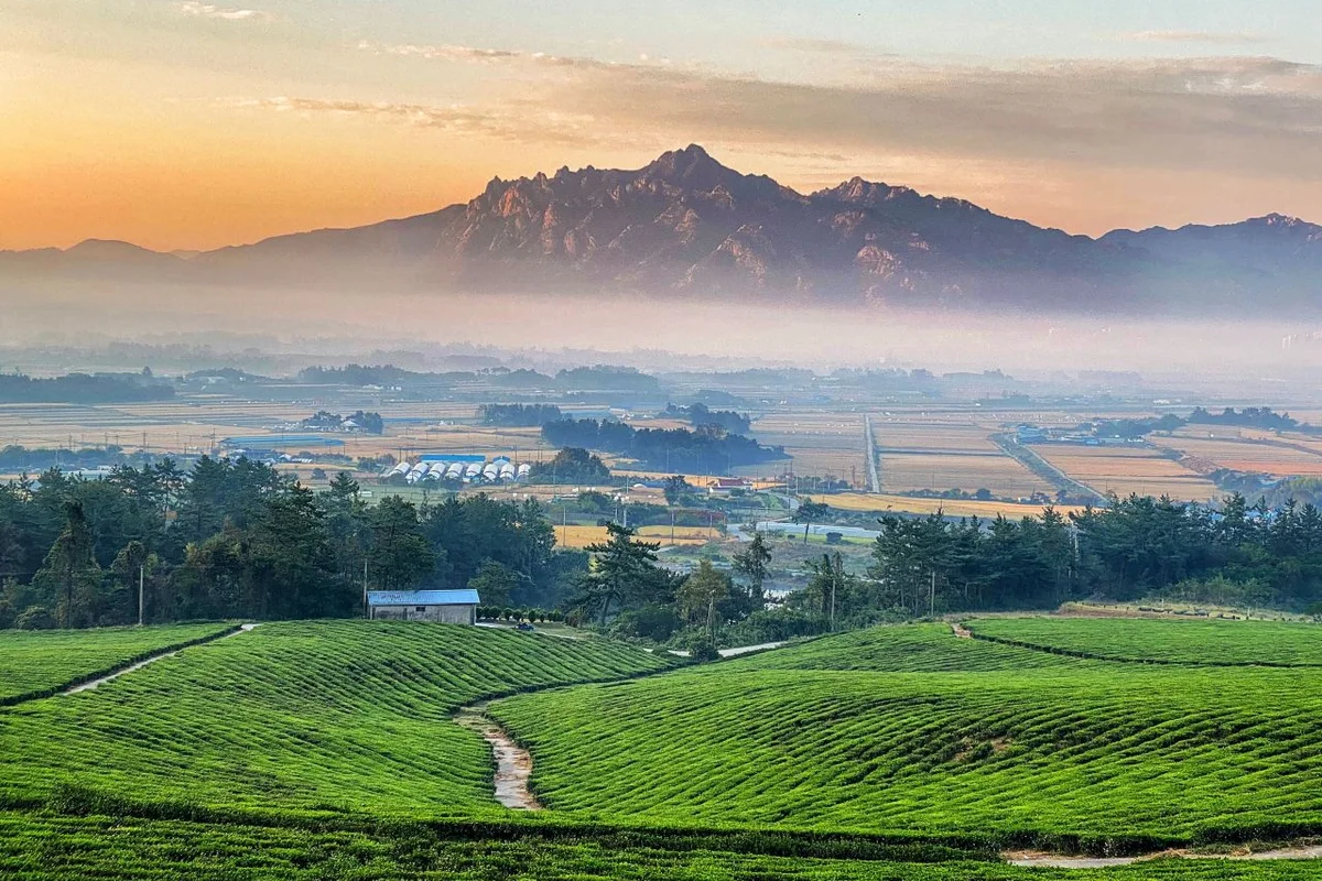 월출산 - 영암군 여행