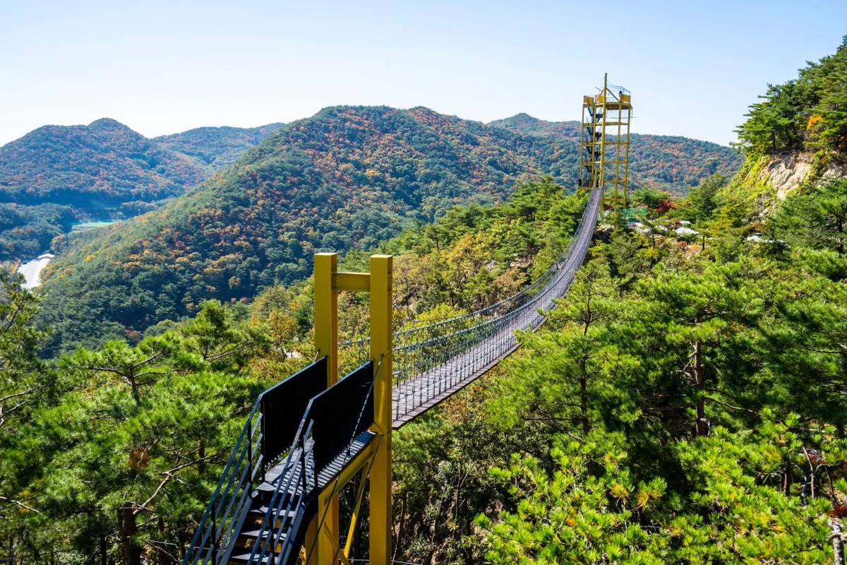 양천구 짚라인 (출처 : 한국관광공사)