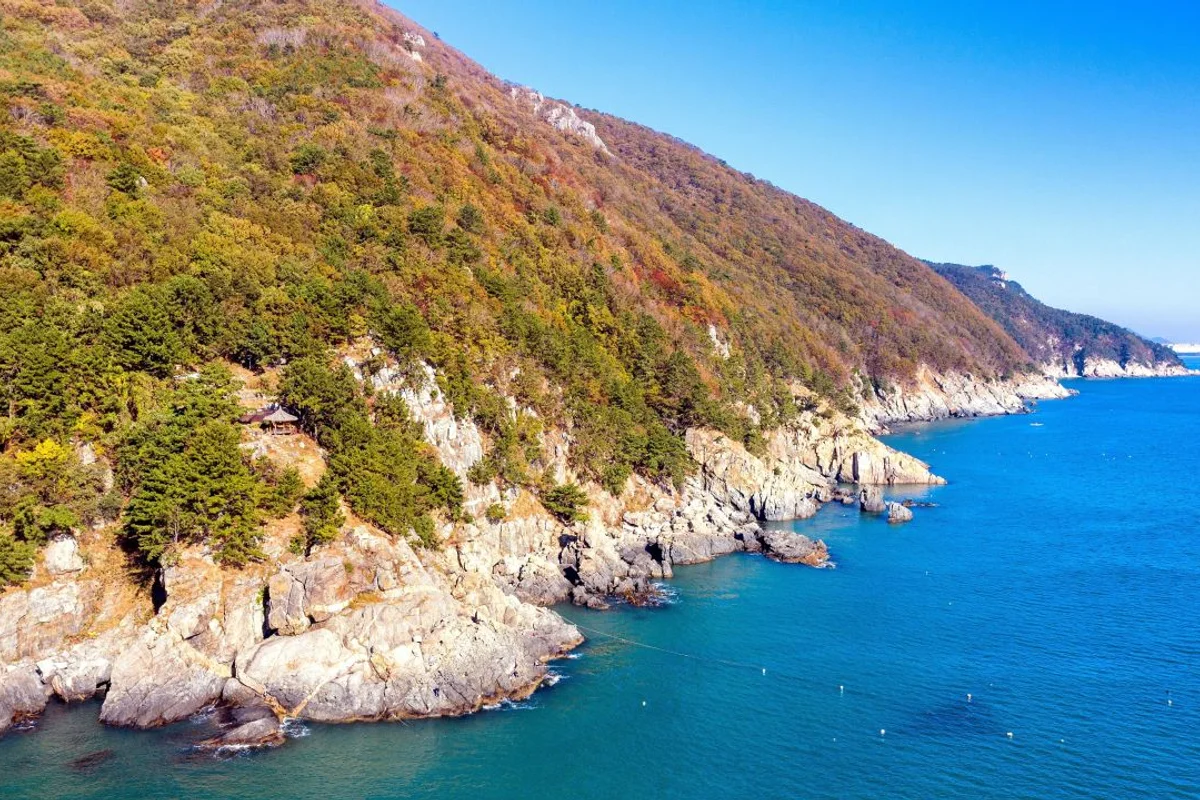 봉제산 - 강서등산 여행