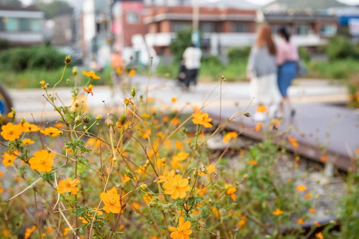 해리단길 - 해리단길 여행