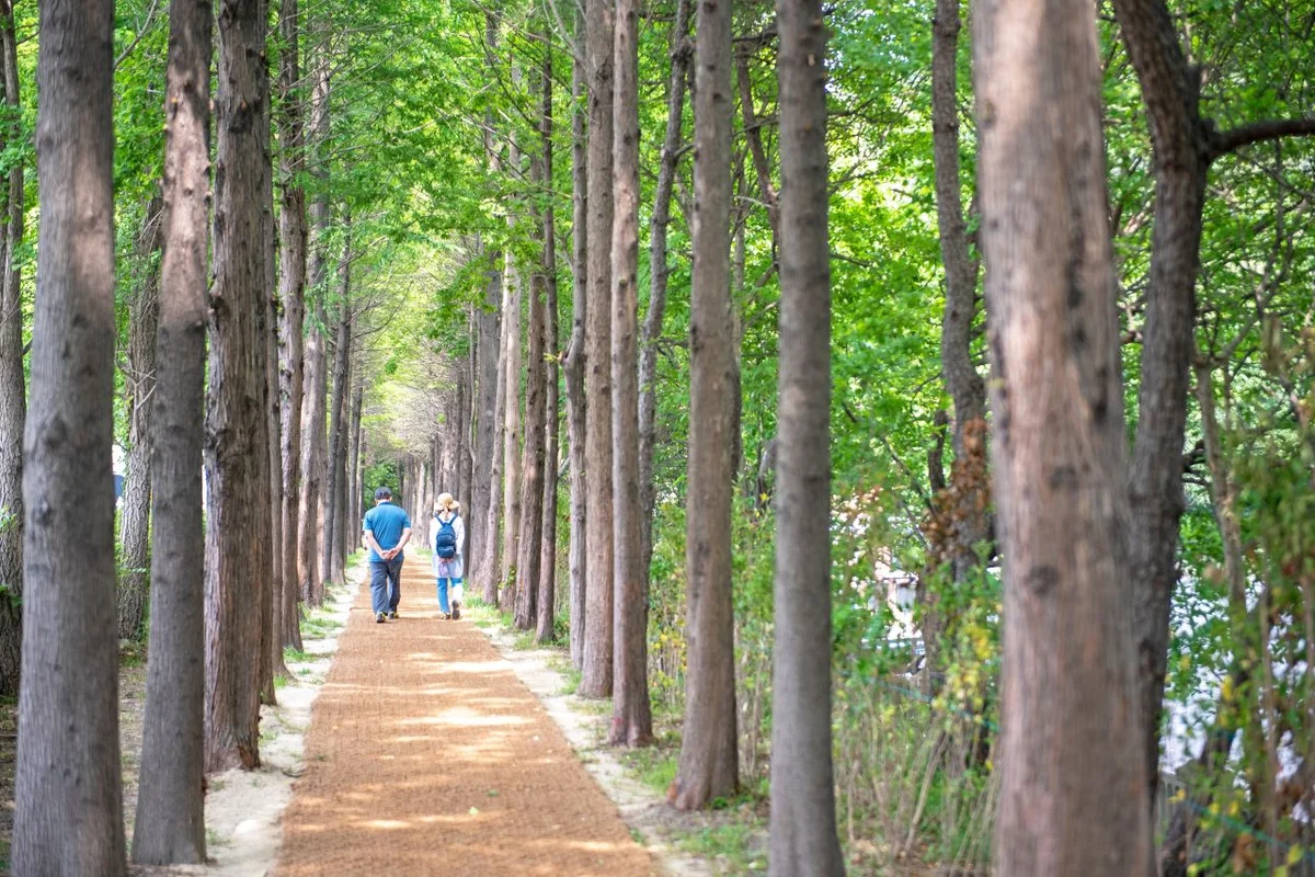 부산엑스더스카이 - 해운대 여행