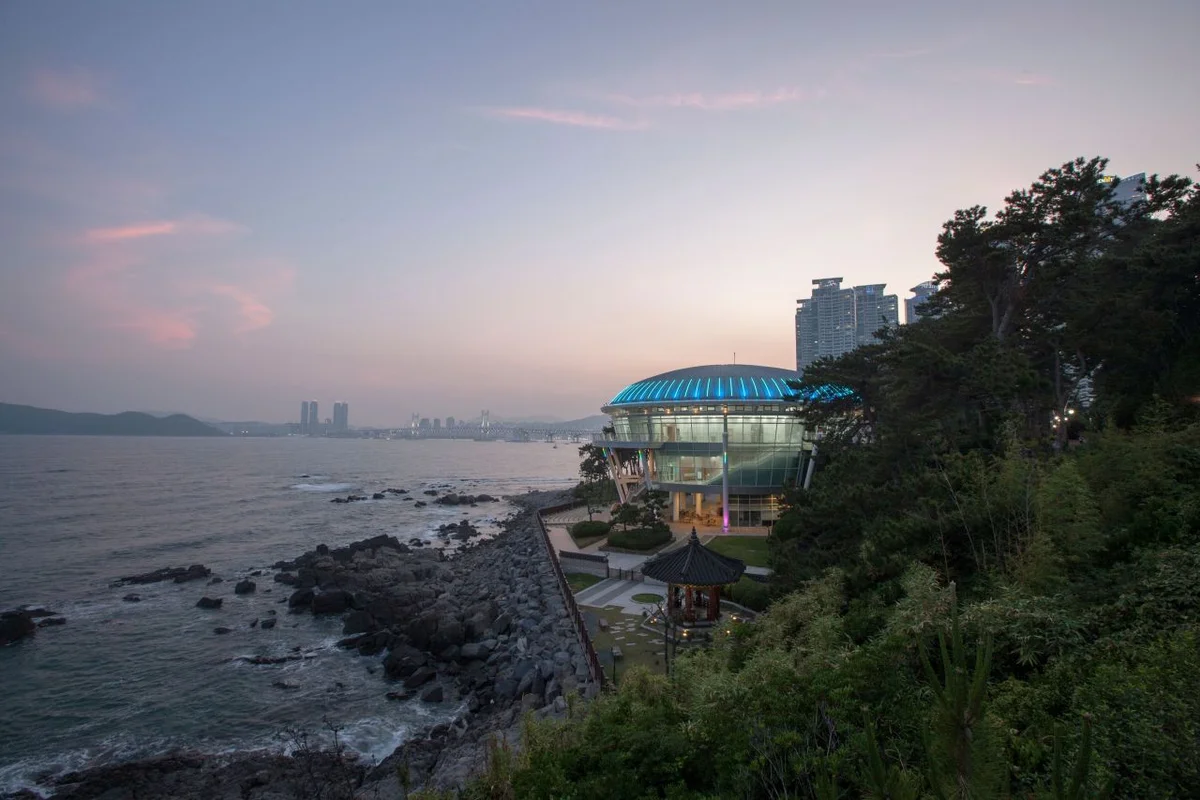 동백 야경 (출처 : 한국관광공사)