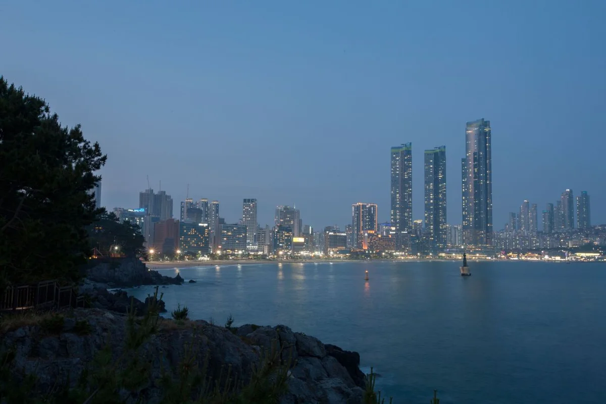 석성산 - 동백 야경 여행