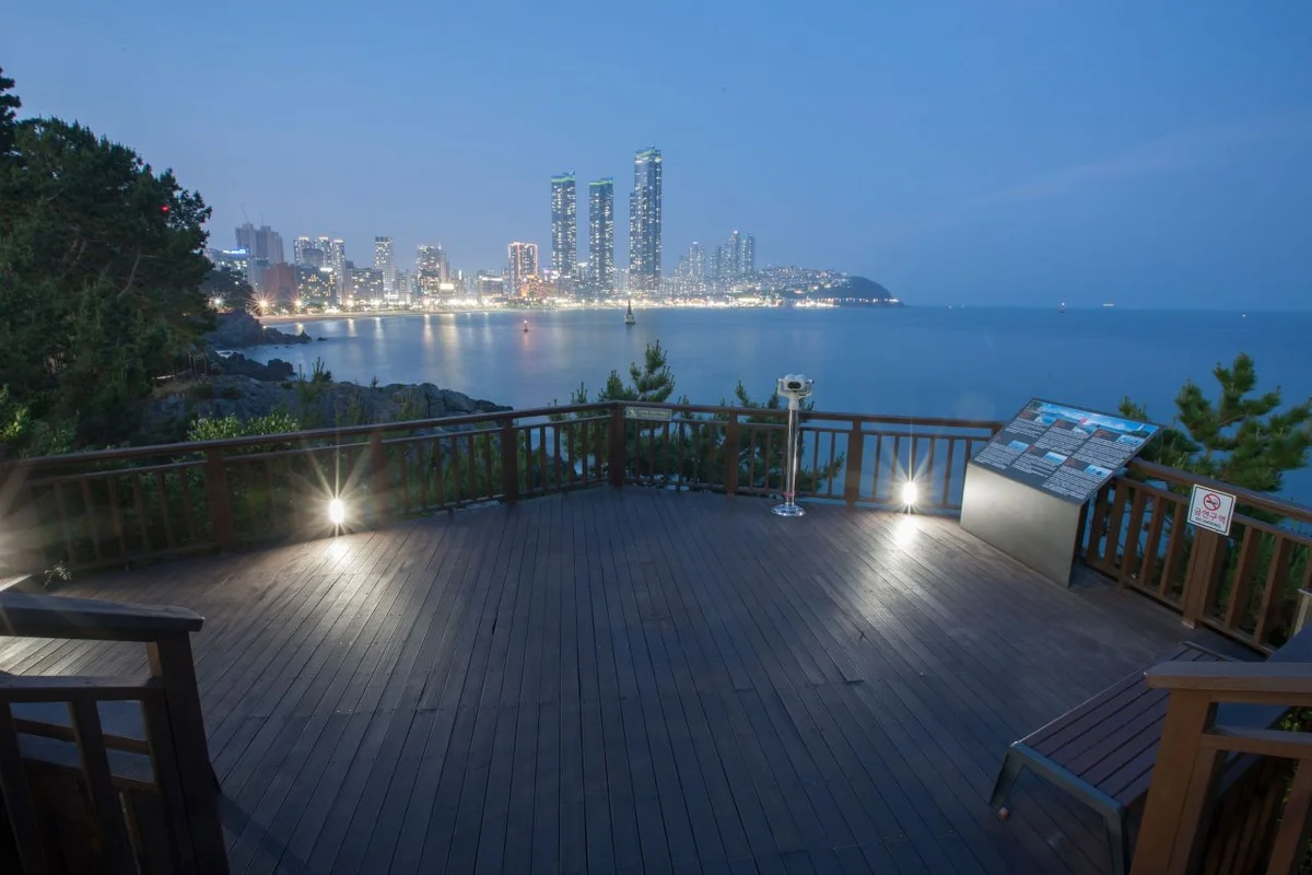 새물공원 - 동백 야경 여행