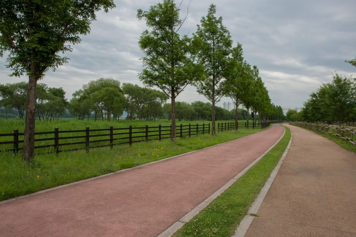 낙동강체육공원 - 구미시공연 여행