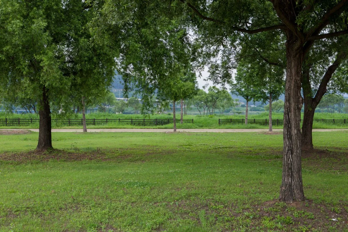 금오랜드 - 구미시공연 여행