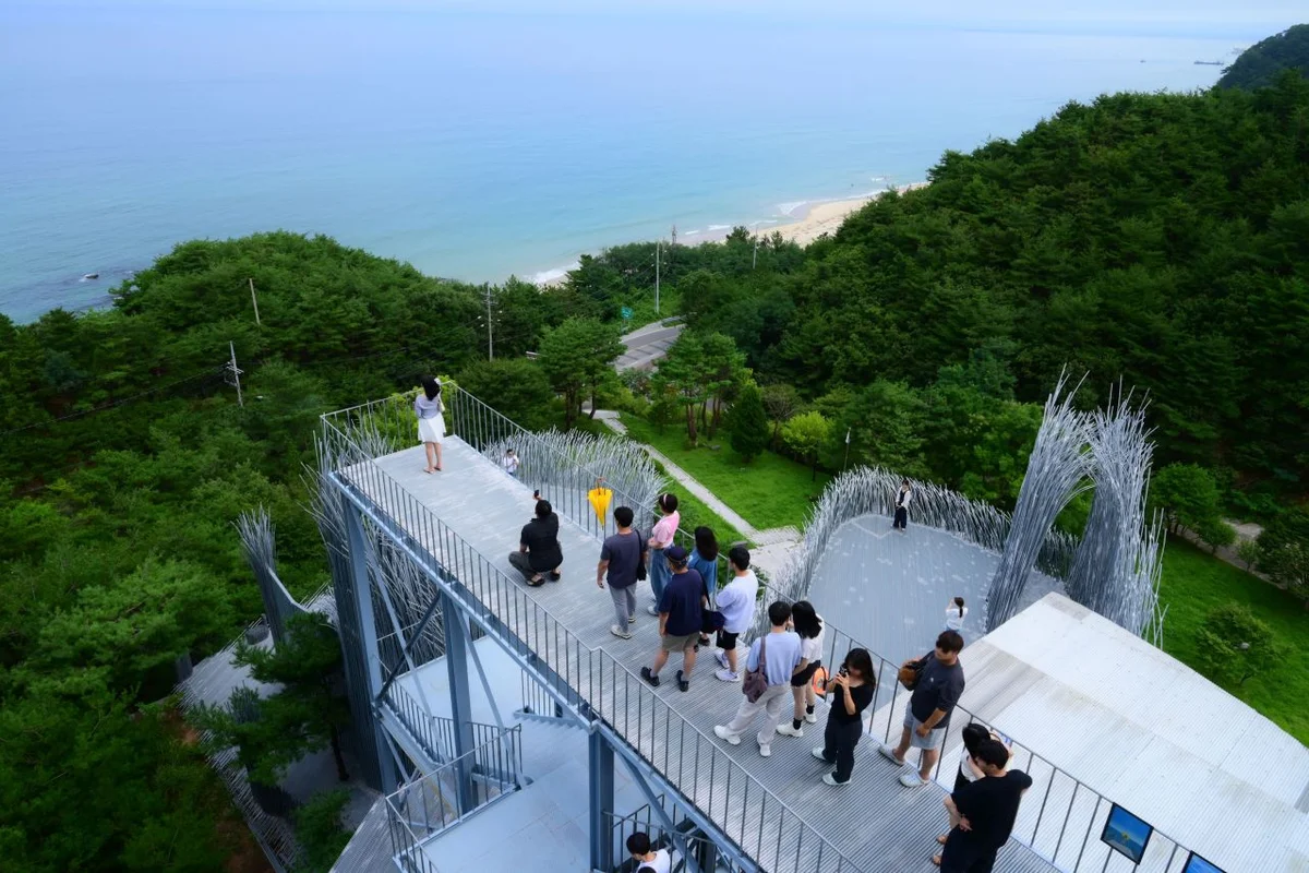 하슬라아트월드 캠핑장 (출처 : 한국관광공사)