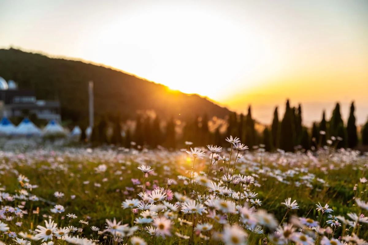 골프존파크 거창나리안길 - 거창군 여행
