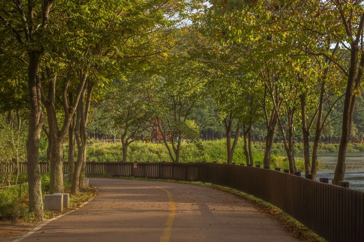 신구대학교식물원 - 성남시 드라이브 여행