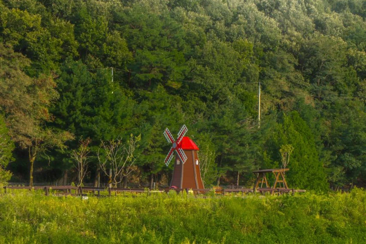 분당중앙공원 - 성남시 드라이브 여행