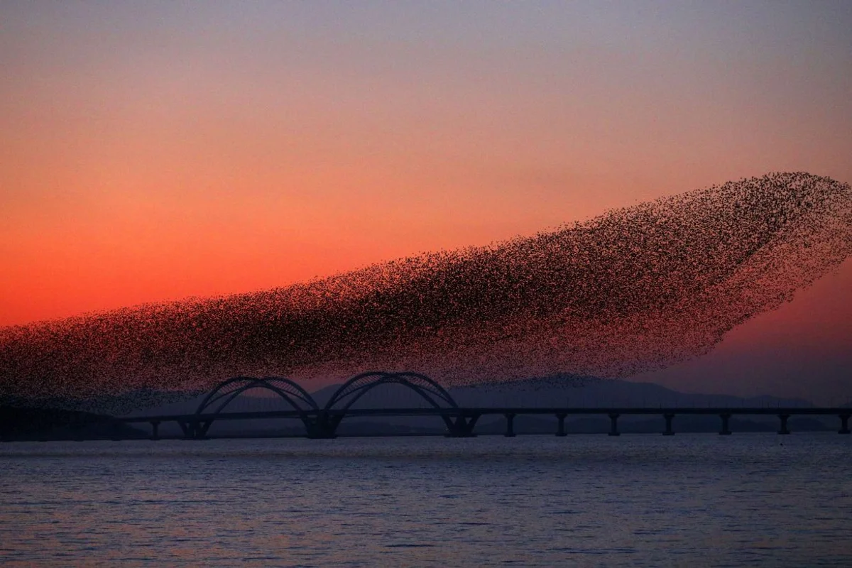 영암호 - 영암군 여행