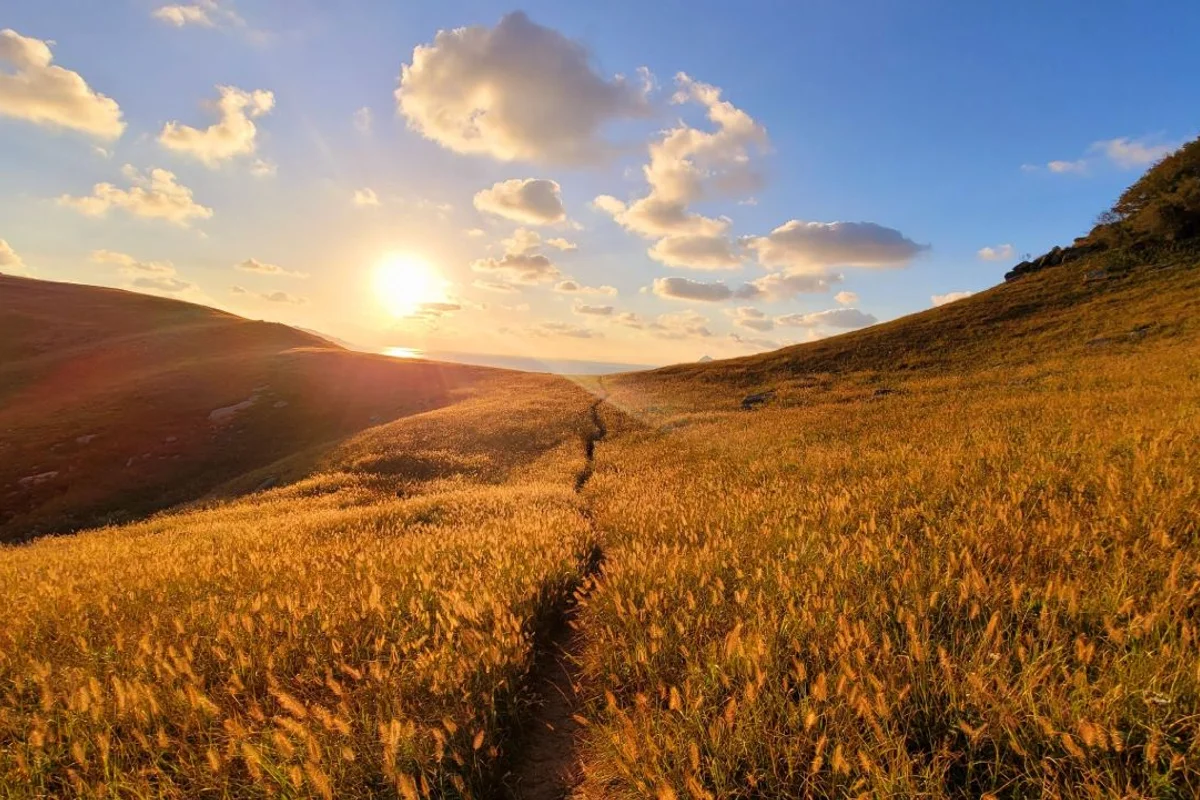 장봉도 - 옹진 여행