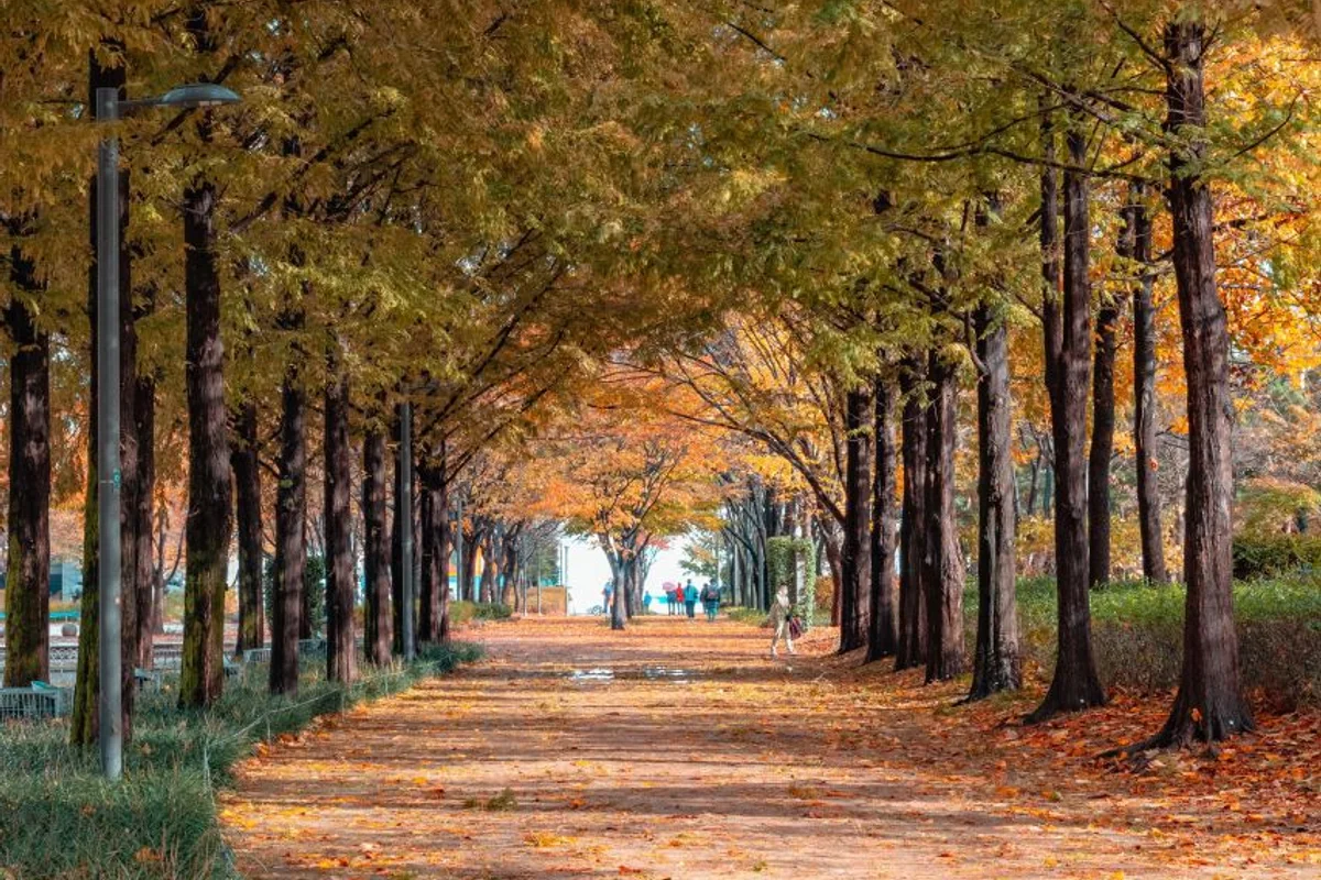 서울숲 - 2026년봄여행 여행